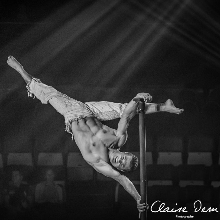 artiste de cirque spectacle de cirque